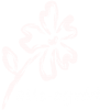 cropped-alle-logo.png